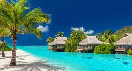 Crédence en verre imprimé Plage et mer Lieu de vacances sur une île tropicale avec des palmiers et une incroyable plage animée