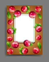 Vector lliustration with realistic cranberry isolated with frame and place for text Element for design, business, advertising, promotion of products, natural juices, cosmetics, food. 