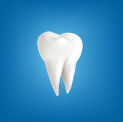 Vector lliustration with realistic tooth, isolated on blue background.Template for design, business, advertising, promotion of products toothpaste. Element for flyer, brochure,  packaging, banner.