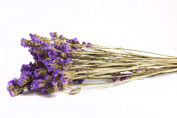 purple statice dry flower