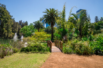 A wooden bridge near fountains and small pond in landscaped gardens at Government House in Perth...