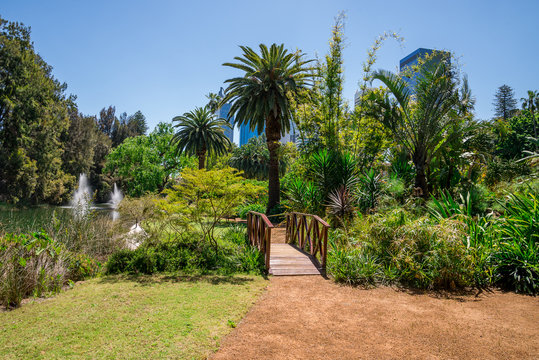 A wooden bridge near fountains and small pond in landscaped gardens at Government House in Perth City
