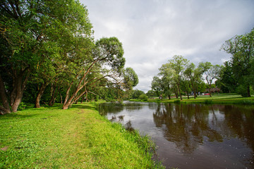 Summer landscape river and trees on the shore