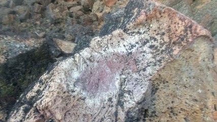 Lava Beds