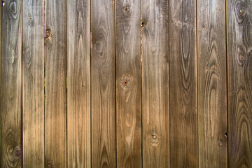 Background of a wooden fence texture