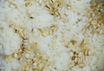 Steam Cooked Rice with Boiled Job's Tears