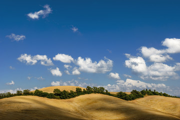 Fototapeta na wymiar Tuscany Hills