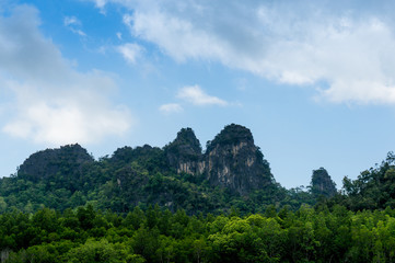 Fototapeta premium Tree covered hills on the riverside of the Kilim park in Langkawi. This is a popular tourist spot shot on a cloudy afternoon.