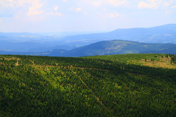 Fototapeta na wymiar Jeseniky mountains and forests