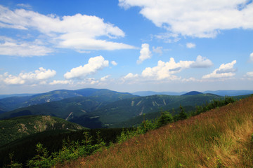 Naklejka premium Jeseniky mountains and forests