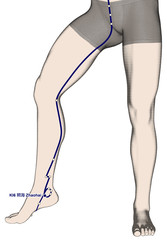 Drawing Acupuncture Point KI6 Zhaohai, 3D Illustration