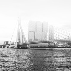 Fototapeta na wymiar Rotterdam Skyline