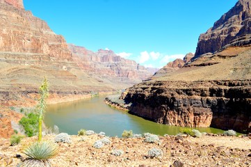 Fototapeta premium ouest americain Grand canyon