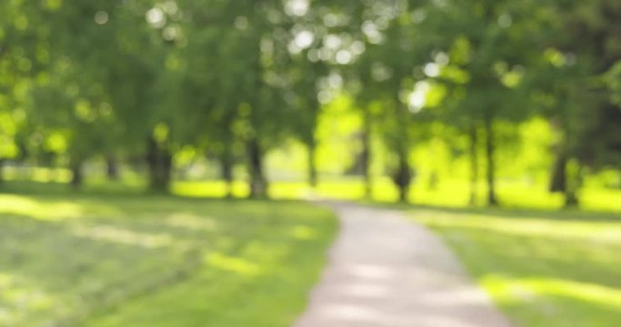 real lens blur of park in sunny day loopable