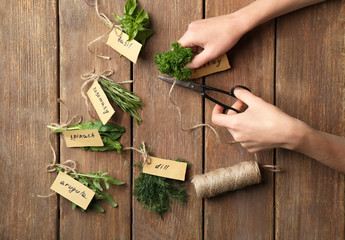 Female hands cutting thread and various fresh herbs on wooden background
