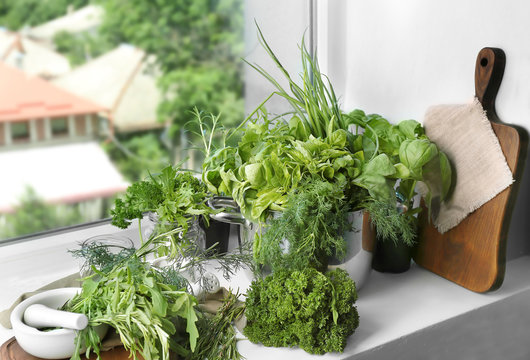 Variety of fresh herbs on windowsill