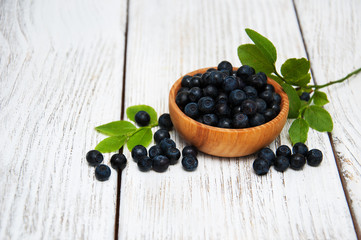 Bowl with Blueberries