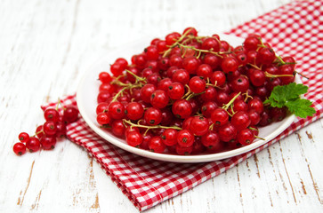 fresh red currant