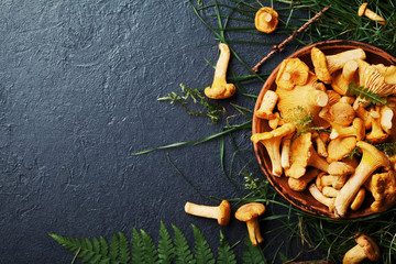 Yellow mushrooms chanterelle (cantharellus cibarius) in vintage plate with forest plants on dark kitchen table top view. Copy space for text. - obrazy, fototapety, plakaty