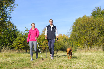 Walking-Session im Herbst