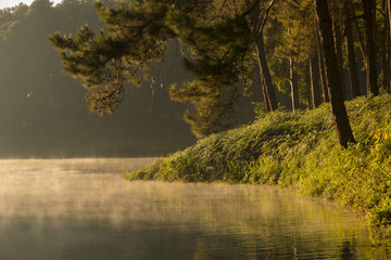 beautiful scenery - mist on the lake in morning