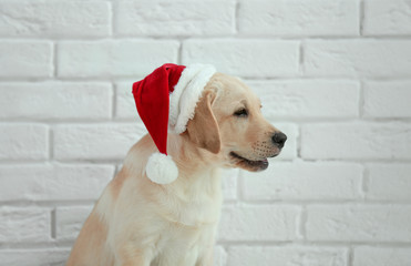 Cute dog in Santa Claus hat against white brick wall