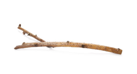 Dry branch isolated on white background