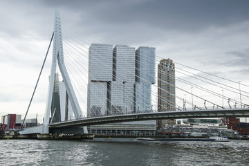 Rotterdam Horbour