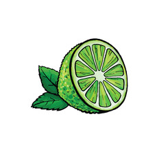 Pop art style hand drawing lime illustration