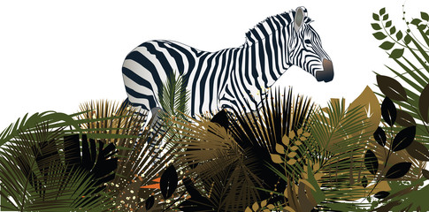 Zebra in the bush