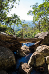 Cameron Falls waterfall on Mt Tamborine