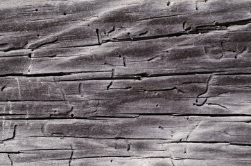 gray wooden board with holes and cracks