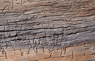 wooden board with holes and cracks