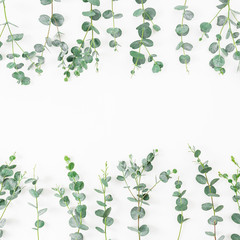 Floral frame with eucalyptus branches on white background. Flat lay, top view