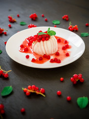 Milk Jelly with berries in a white plate on dark table. Traditional italian dessert.