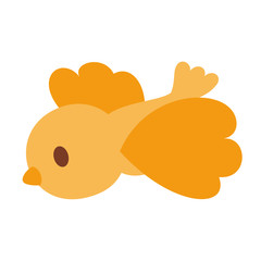 オレンジ色の小鳥