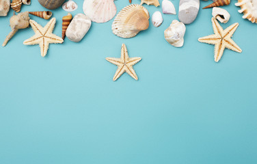 Fototapeta na wymiar Frame of shells of various kinds on a blue background