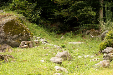 L'orée de la forêt