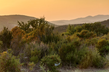 Amazing sunset landscape of Sithonia peninsula, Chalkidiki, Central Macedonia, Greece