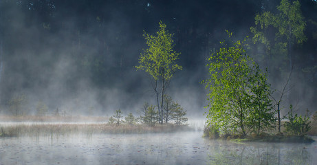 Bagno w porannej mgle © Grzegorz