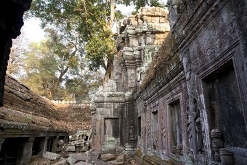 Ta Prohm temple
