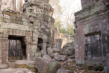 Ta Prohm temple