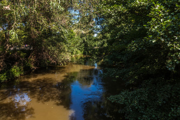 Fototapeta na wymiar Auenlandschaft am Fluss im Sommer