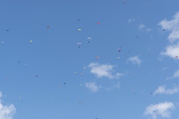 Russia, Kolomna, Aerograd, Many Landing skydiver.