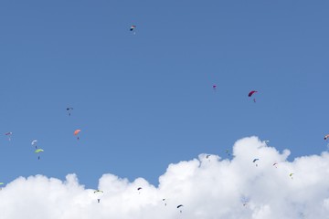Russia, Kolomna, Aerograd, Many Landing skydiver.