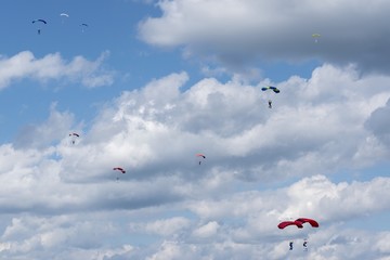 Russia, Kolomna, Aerograd, Many Landing skydiver.