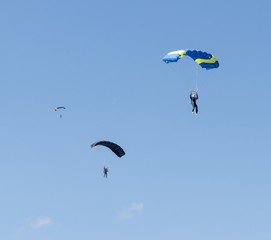Russia, Kolomna, Aerograd, Many Landing skydiver.