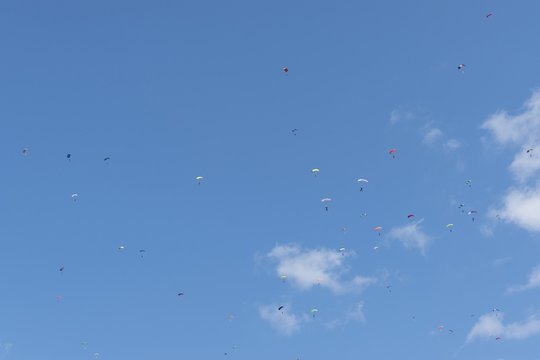 Russia, Kolomna, Aerograd, Many Landing skydiver.