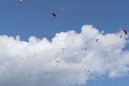 Russia, Kolomna, Aerograd, Many Landing skydiver.