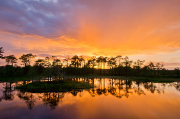 Sunset in the bog, golden marsh, lakes and nature environment. Sundown evening light and rain